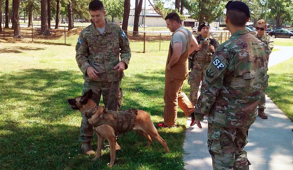 are dogs allowed on military bases